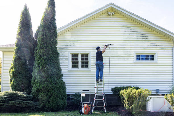 Best Gutter Cleaning and Brightening in Brainerd, MN